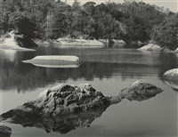 藏品(邱德雲裝裱相紙:汗流脈絡等系列287)的圖片