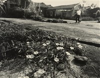 藏品(邱德雲裝裱相紙:汗流脈絡等系列288)的圖片