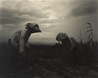 藏品(邱德雲裝裱相紙:汗流脈絡等系列293)的圖片