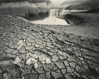 藏品(邱德雲裝裱相紙:汗流脈絡等系列294)的圖片