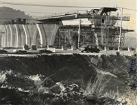 藏品(邱德雲裝裱相紙:汗流脈絡等系列300)的圖片