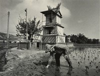 藏品(邱德雲裝裱相紙:汗流脈絡等系列302)的圖片