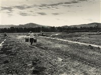 藏品(邱德雲裝裱相紙:汗流脈絡等系列316)的圖片