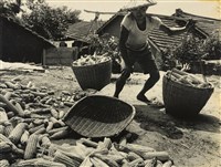 藏品(邱德雲裝裱相紙:汗流脈絡等系列319)的圖片