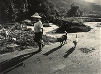 藏品(邱德雲裝裱相紙:汗流脈絡等系列323)的圖片