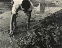 藏品(邱德雲裝裱相紙:汗流脈絡等系列341)的圖片