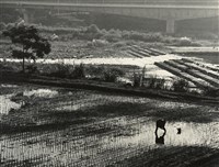 藏品(邱德雲裝裱相紙:汗流脈絡等系列346)的圖片