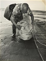 藏品(邱德雲裝裱相紙:汗流脈絡等系列356)的圖片