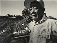 藏品(邱德雲裝裱相紙:汗流脈絡等系列369)的圖片