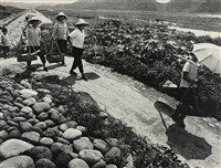 藏品(邱德雲裝裱相紙:汗流脈絡等系列379)的圖片