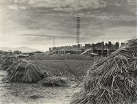 藏品(邱德雲裝裱相紙:汗流脈絡等系列386)的圖片