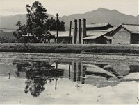 藏品(邱德雲裝裱相紙:汗流脈絡等系列388)的圖片