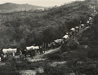 藏品(邱德雲裝裱相紙:汗流脈絡等系列397)的圖片