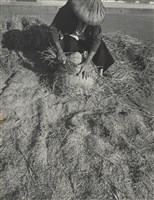 藏品(邱德雲裝裱相紙:汗流脈絡等系列408)的圖片