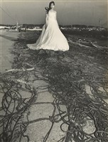 藏品(邱德雲裝裱相紙:汗流脈絡等系列412)的圖片