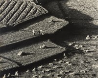 藏品(邱德雲裝裱相紙:汗流脈絡等系列414)的圖片