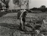 藏品(邱德雲裝裱相紙:汗流脈絡等系列416)的圖片