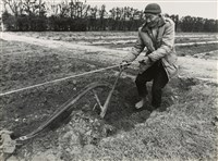 藏品(邱德雲裝裱相紙:汗流脈絡等系列417)的圖片