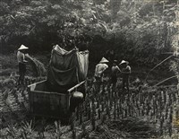 藏品(邱德雲裝裱相紙:汗流脈絡等系列421)的圖片