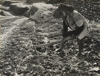 藏品(邱德雲裝裱相紙:汗流脈絡等系列424)的圖片