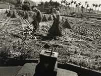 藏品(邱德雲裝裱相紙:汗流脈絡等系列429)的圖片