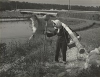 藏品(邱德雲裝裱相紙:汗流脈絡等系列433)的圖片