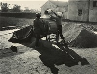 藏品(邱德雲裝裱相紙:汗流脈絡等系列438)的圖片