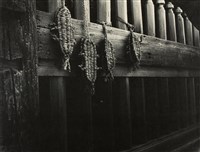 藏品(邱德雲裝裱相紙:汗流脈絡等系列445)的圖片