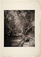 藏品(《中國及其子民》第一冊：穿越甲仙與荖濃間的小徑)的圖片