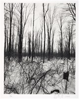 藏品(零)的圖片