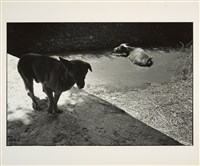 藏品(《現實‧極光‧邊緣》系列95-1990s )的圖片