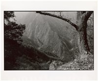 藏品(金成財作品：寂靜的槍聲01)的圖片