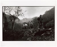 藏品(金成財作品：寂靜的槍聲21)的圖片