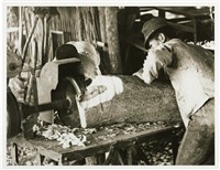 藏品(《樟腦油》系列：〈樟木切片〉)的圖片