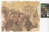藏品(男子與小樹叢合照)的圖片
