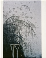 藏品(〈淡而有味(1)〉：兩支鏟子楊柳)的圖片