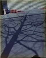 藏品(鐵捲門前睡著的人，樹影)的圖片