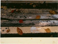 藏品(〈日本秋葉〉系列（下方留白）：木椅上的落葉)的圖片