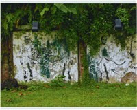 藏品(紅磚間白牆面塗鴉、植物)的圖片