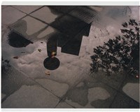 藏品(灰色水泥磚、水灘倒影)的圖片