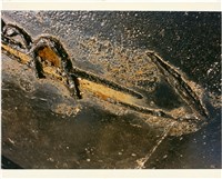 藏品(鐵與銹)的圖片