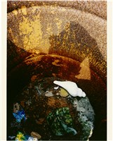 藏品(鐵鏽、桶內、生活泡沫綠茶、貝殼)的圖片