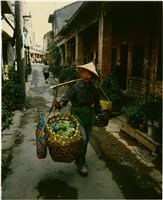 藏品(斗笠老人挑菜)的圖片