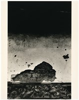 藏品(磚牆、問花花不語)的圖片