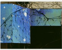 藏品(燈泡繩、籃子、箱子)的圖片