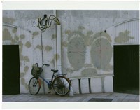 藏品(牆壁與腳踏車)的圖片