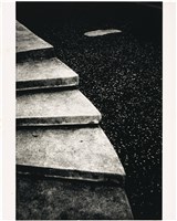 藏品(左側石階梯)的圖片