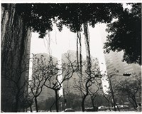 藏品(〈夢幻都市〉：前景植物 都市)的圖片