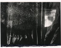 藏品(白色點狀)的圖片