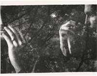 藏品(手、樹倒影)的圖片